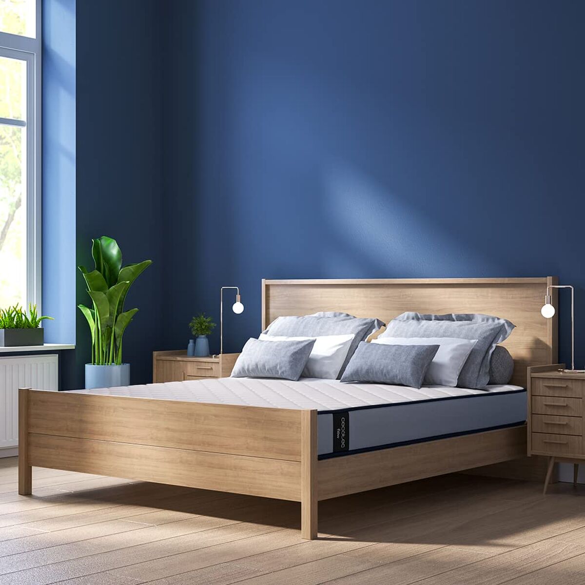 Quicky's Product Image